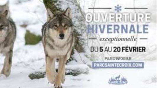 Parc Animalier de Sainte-Croix : ouverture hivernale exceptionnelle...